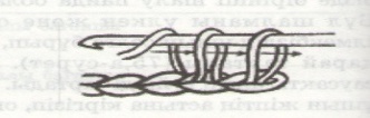 Сабақтың тақырыбы: Негізгі шалулар (7класс)