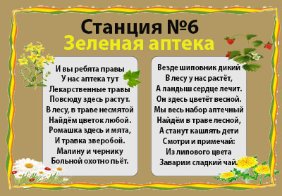 Проект по экологии на тему Путешествие Робинзонов.Создание экологической тропы