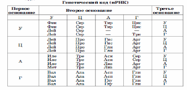 Промежуточная аттестация по биологии для 11 класса.