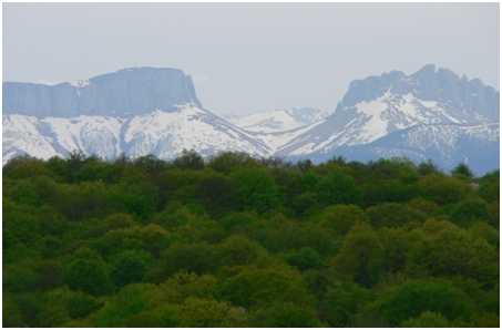 Экологический проект на тему:«Кавказский природный биосферный заповедник»