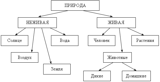 Схема живой природы 2 класс