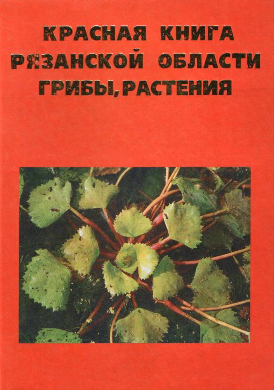 Тех. карта урока «О стрекозах, нимфах, махаонах»