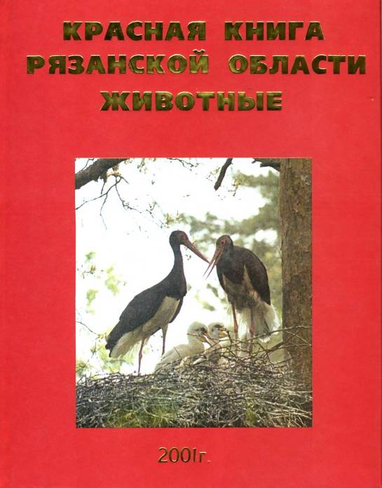 Тех. карта урока «О стрекозах, нимфах, махаонах»