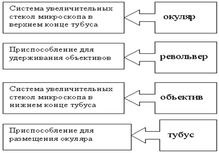 Методическая разработка Применение здоровьесберегающих технологий в образовательном процессе