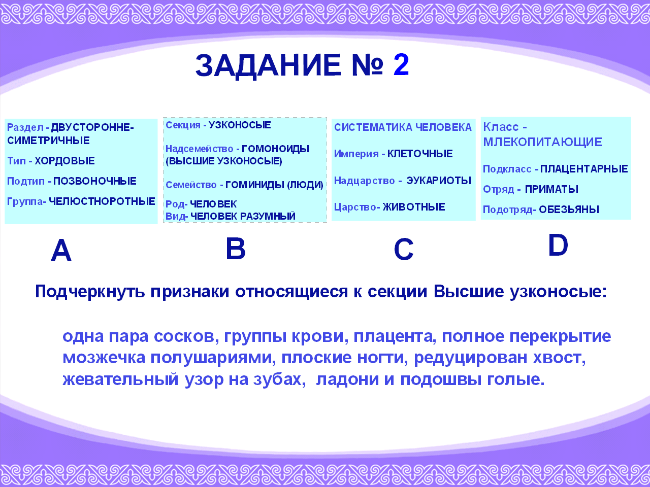 Конспект урока к флипчарту по биологии на тему «Стадии эволюции человека: австралопитек, древнейший человек, древний человек, первые современные люди