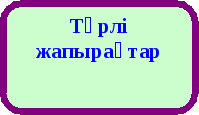 Табиғи материалдардан аппликация жасау