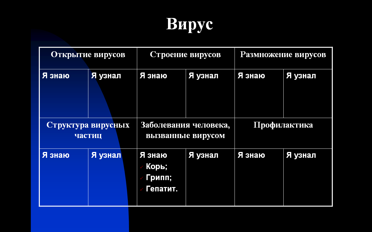 Урок «Вирусы»