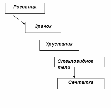 Сценарий интегрированнго мероприятия по физике и истории