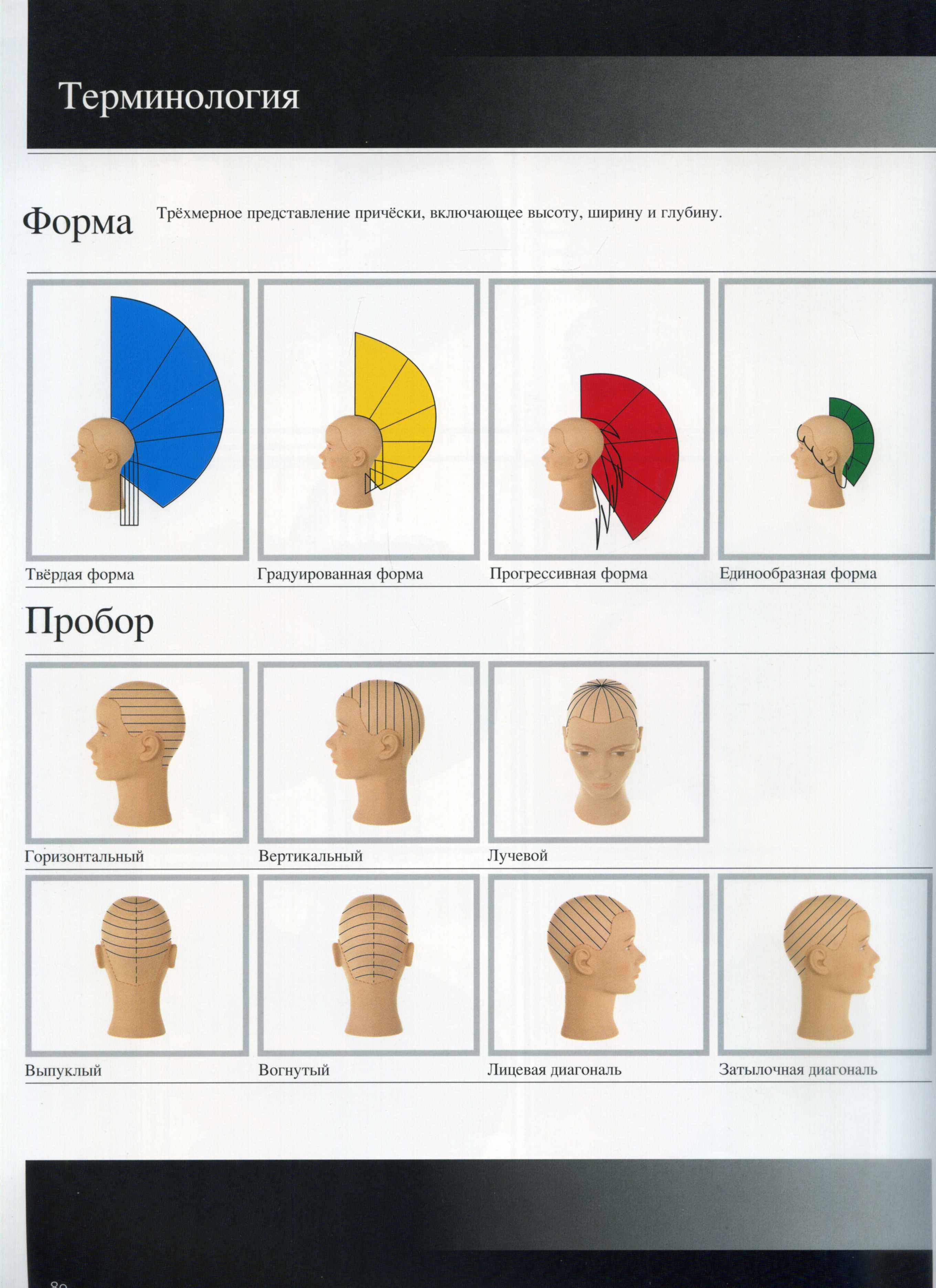 Тестовый лист по МДК 01 Зоны головы. Проборы. Естественный спад волос