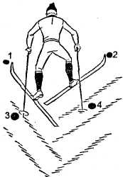 Ход елочка. Подъем елочкой на лыжах. Подъем "елочкой" (рис. 3). Подъём ёлочкой на лыжах техника. Техника подъема на лыжах в гору елочкой.