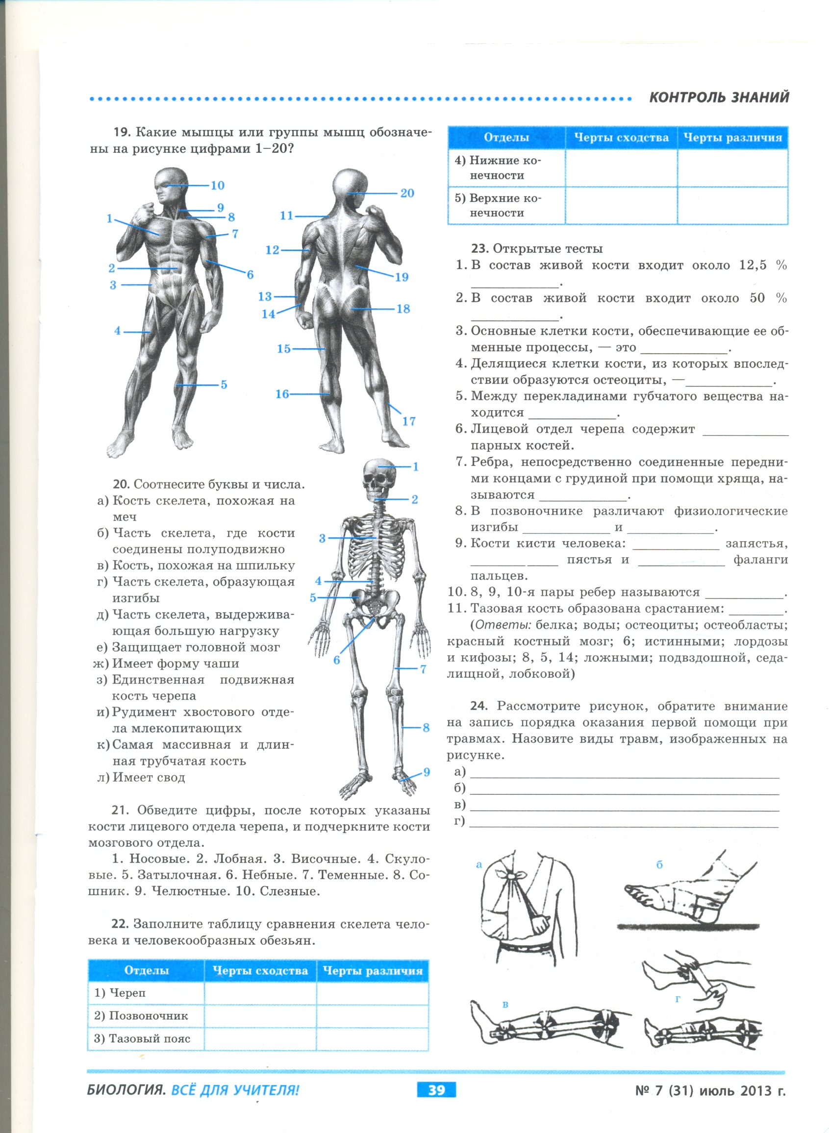 Биология 8 класс вариант. Зачет по биологии 8 класс скелет человека. Задание по скелету человека.