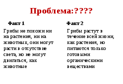 Урок по теме: Грибы