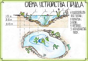 Курс по выбору Ландшафтный дизайн