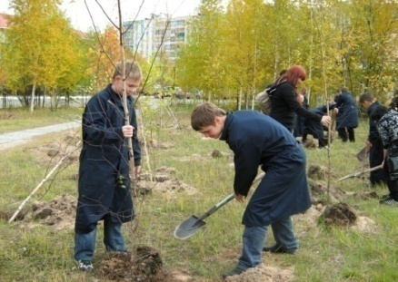 Обобщение педагогического опыта Экологическое воспитание подрастающего поколения