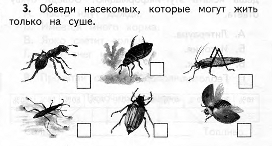 Тест по теме:В мире живой природы (окружающий мир 2 класс)2 вариант