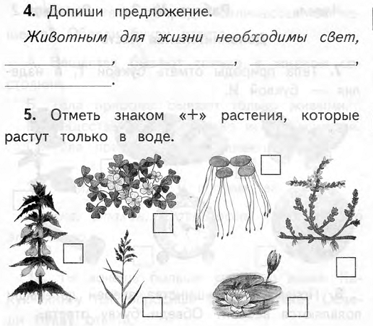 Мир 2 класс вариант 2. Задания по окружающему 2 класс. Тест по окружающему миру растения. Проверочная работа по теме растения. Проверочные работы окружающему миру 2 класс Планета знаний.