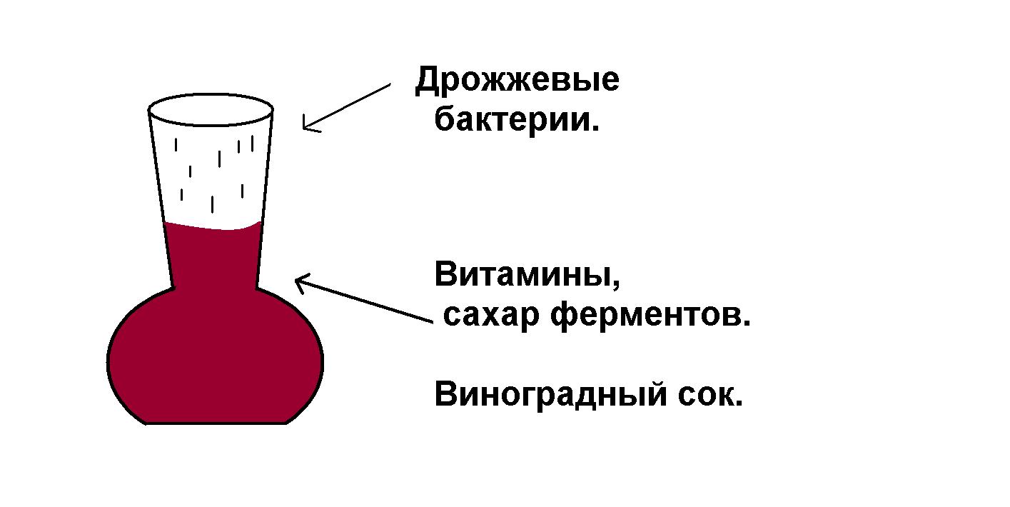 Классный час. Тема: «Курение, алкоголь – опасные ловушки для молодежи»