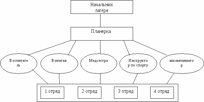 Программа летнего лагеря «Экологическая карусель»