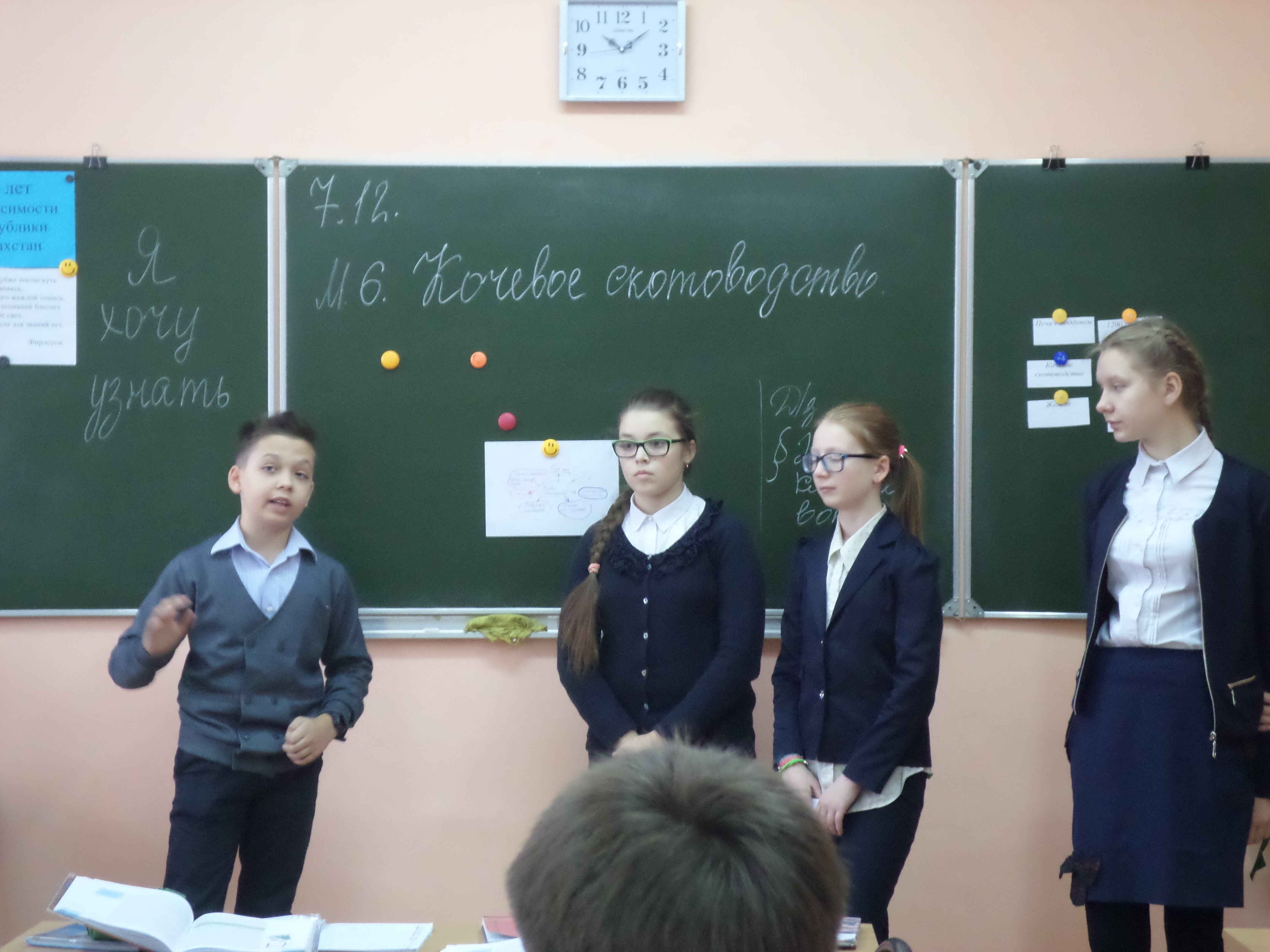 Урок истории Казахстана 6 класс Кочевое скотоводство