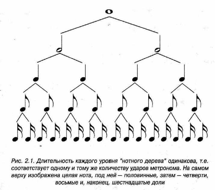 Длительность это. Схема длительности нот. Длительности нот в Музыке. Деление нот по длительности. Таблица длительностей.
