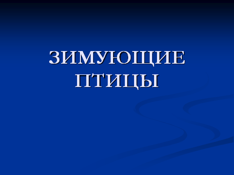 Занятие по ДОП Путешествие в страну Зоологию на тему «Необычные зимующие птицы. Приспособленность их к зимним условиям» (1 год)