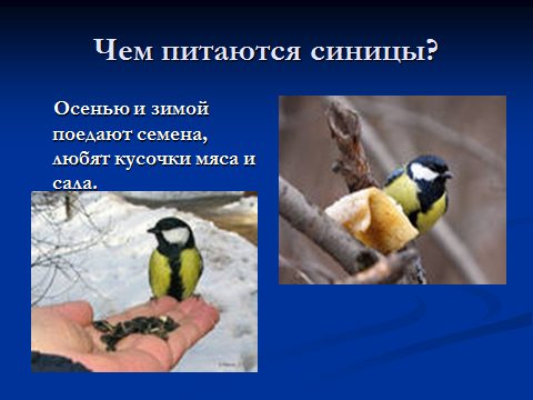 Занятие по ДОП Путешествие в страну Зоологию на тему «Необычные зимующие птицы. Приспособленность их к зимним условиям» (1 год)