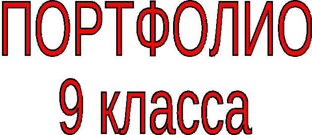 Папка-накопитель Портфолио класса ( 9 класс)