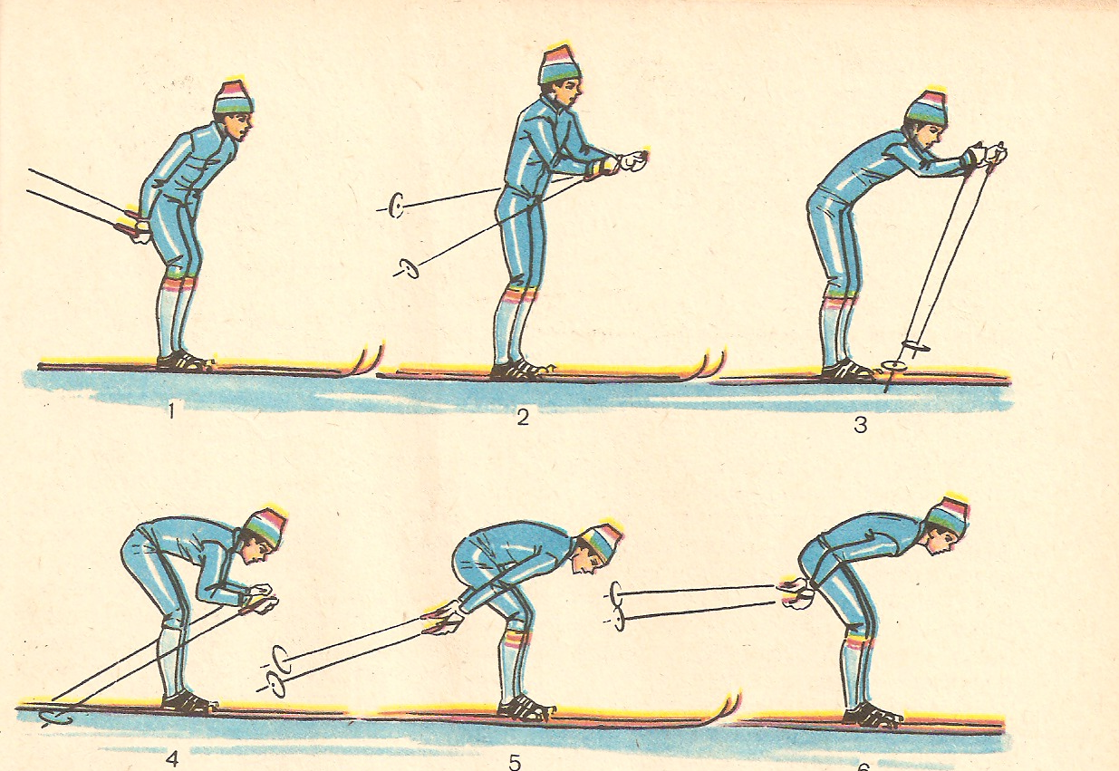 Методика обучения технике лыжных ходов