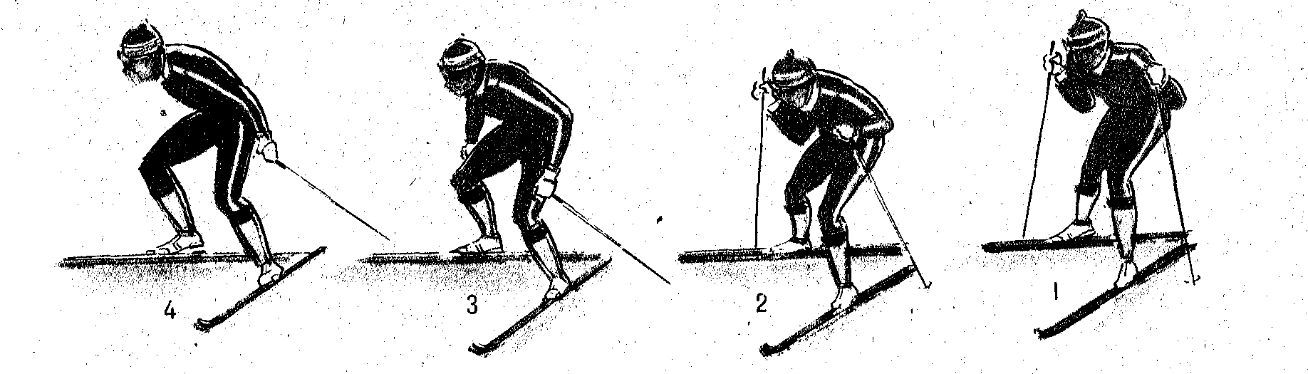 Методика обучения технике лыжных ходов