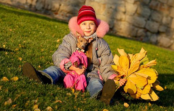 Консультация для родителей Осенние прогулки с детьми
