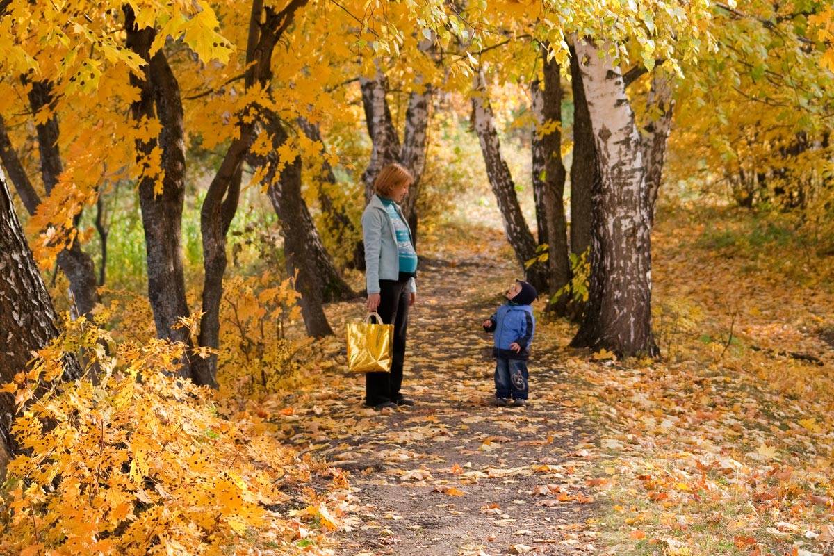 Консультация для родителей Осенние прогулки с детьми