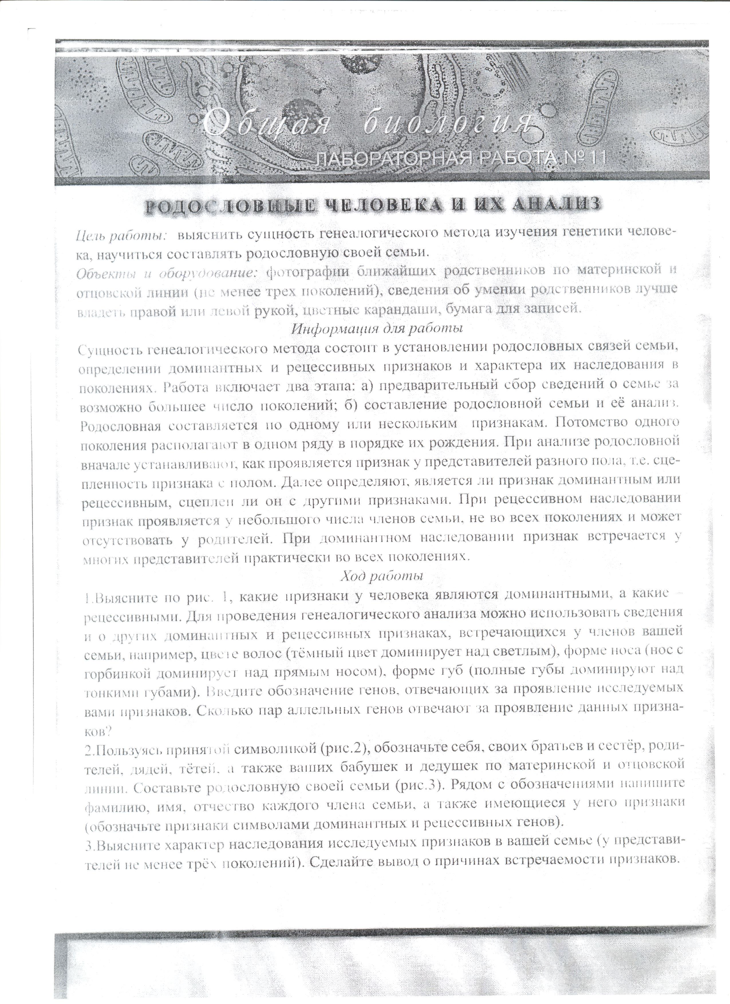 Рабочая программа по биологии 10 класс; Программа разработана на основе: авторской программы под редакцией А.А.Каменского, Е.А. Криксунова, В.В.Пасечника, М.: Изд.дом. «Дрофа»