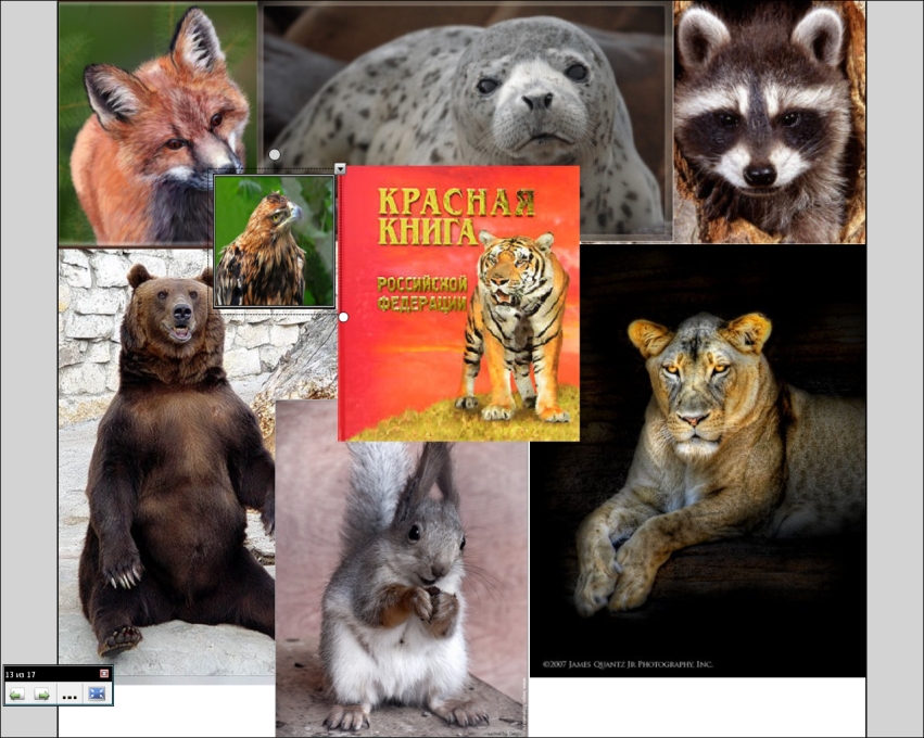 Интерактивный урок по окружающему миру на тему :«Охрана животных»