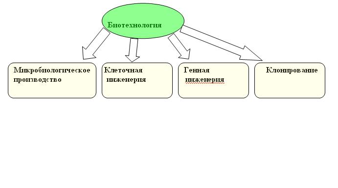 Конспект урока по биологии по теме «Генная инженерия. ГМ - продукты»