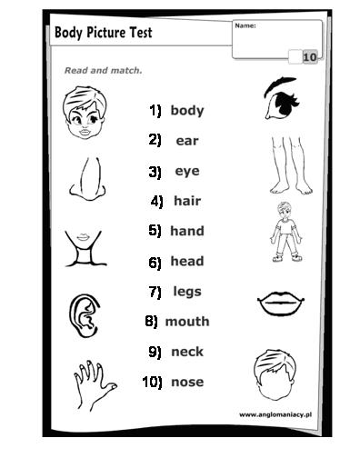 План открытого урока по английскому языку на тему Части тела; порядковые числительные (3 класс)