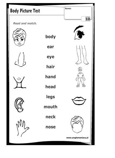 План открытого урока по английскому языку на тему Части тела; порядковые числительные (3 класс)