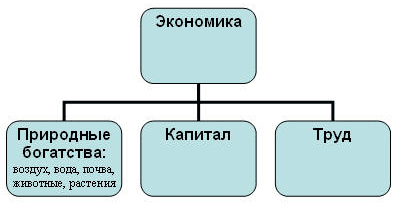 Воздух для экономики 3 класс. Природные богатства капитал труд. Природные богатства для экономики. Значение природных богатств для экономики. Значение воздуха воды полезных ископаемых почвы растений животных.