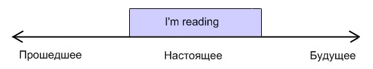 Открытый урок по теме Анатомия