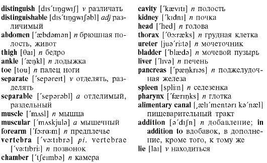 Открытый урок по теме Анатомия