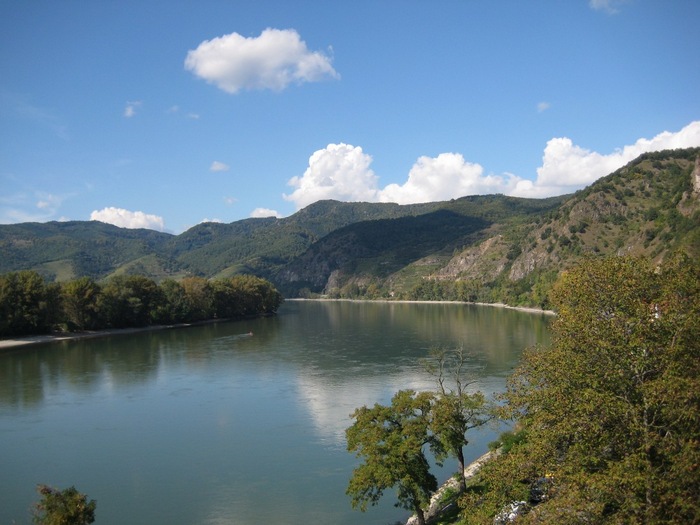 Исследовательская работа:Дунайские плавни и его экологическая ситуация