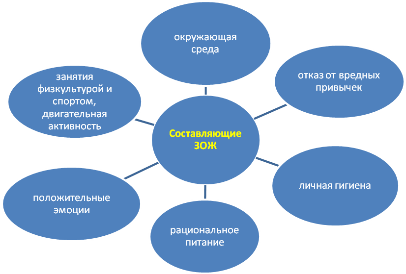 Конспект классного часа по ЗОЖ 5класс