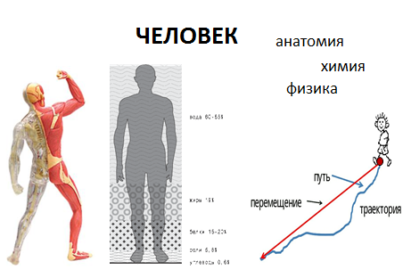 Урок Модели и моделирование (9 класс)