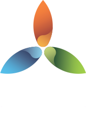 Научно-практическая конференция «ЭКСПО-2017»