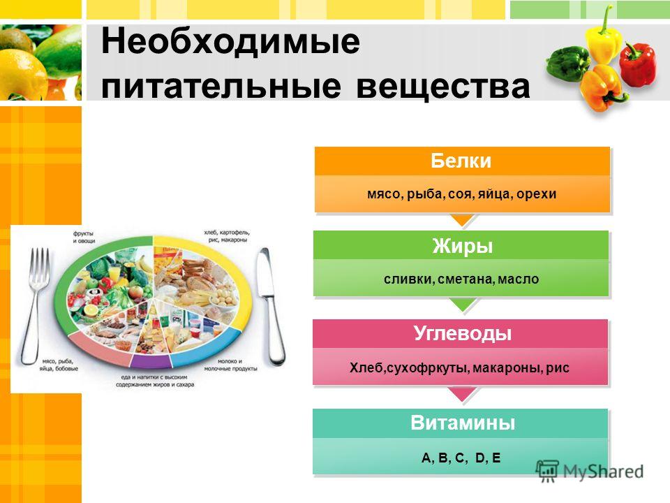 Проект по технологии: «Оренбургская национальная деревня» - кладезь кулинарных шедевров
