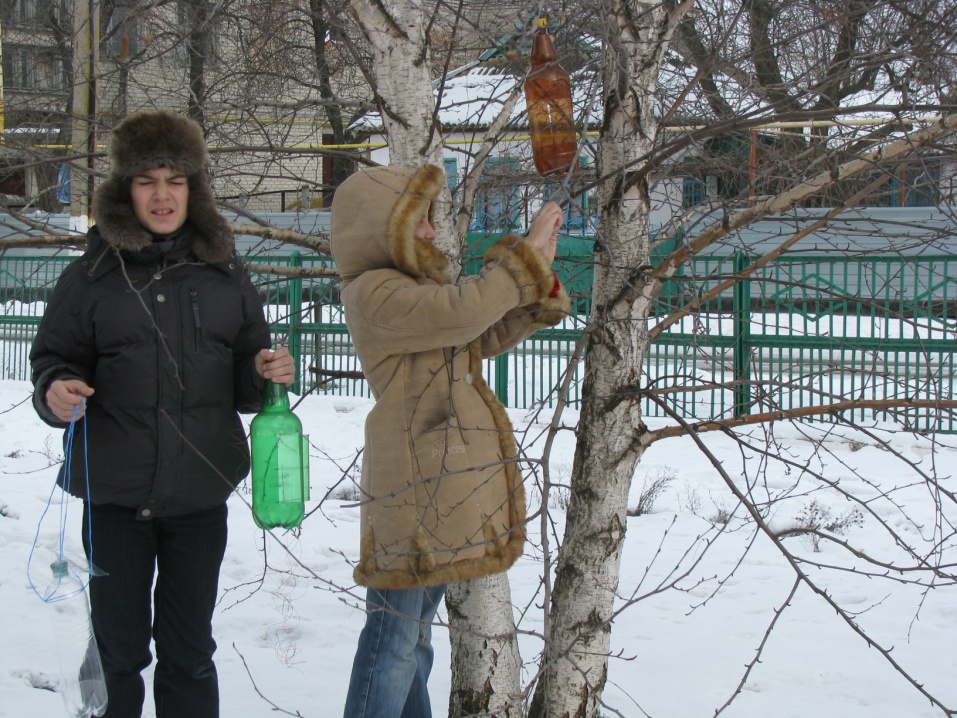 Презентация на тему Кормушка