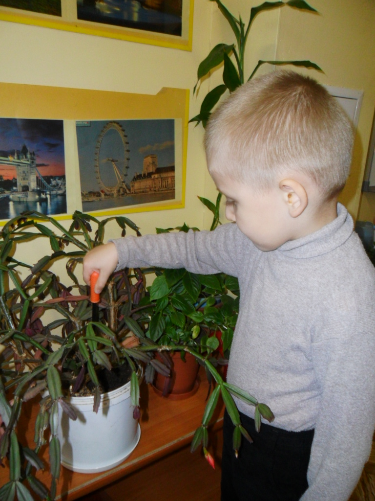 Экологический проект ---индивидуальная работа ребенка в рамках экологического проекта Загадки комнатных растений