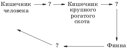 Тесты по биологии за 5-7 класс