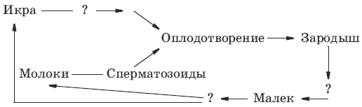 Тесты по биологии за 5-7 класс