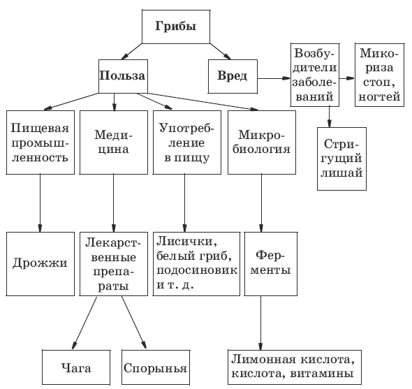 Тесты по биологии за 5-7 класс