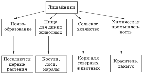 Тесты по биологии за 5-7 класс